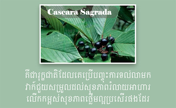 kh-cascara-gagrada