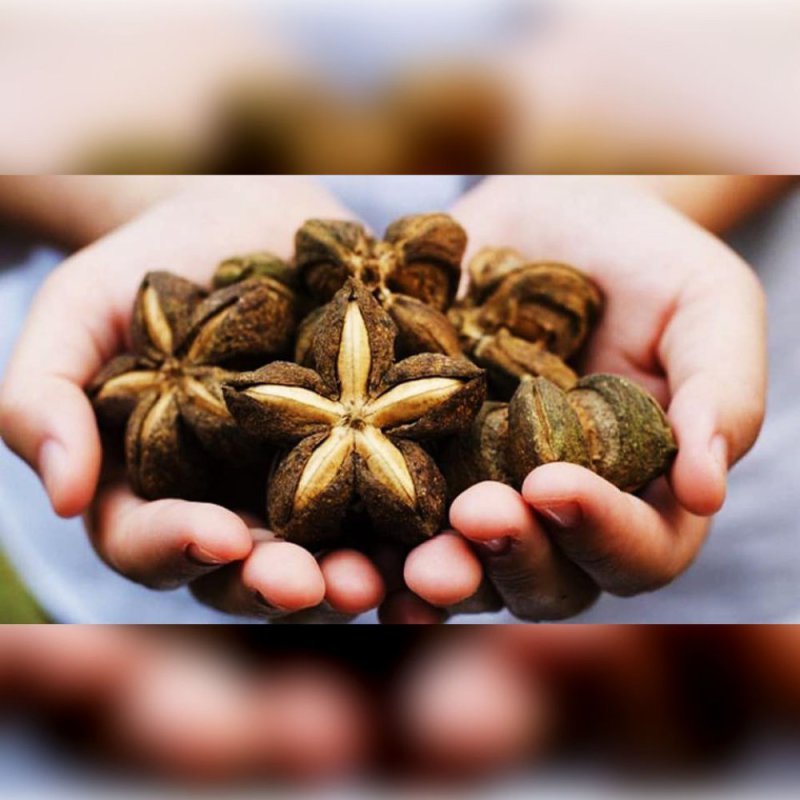 4Health Extra Virgin Sacha Inchi Oil