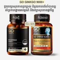 GO GINKGO 60គ្រាប់ សុខភាពខួរក្បាល ការចងចាំល្អ