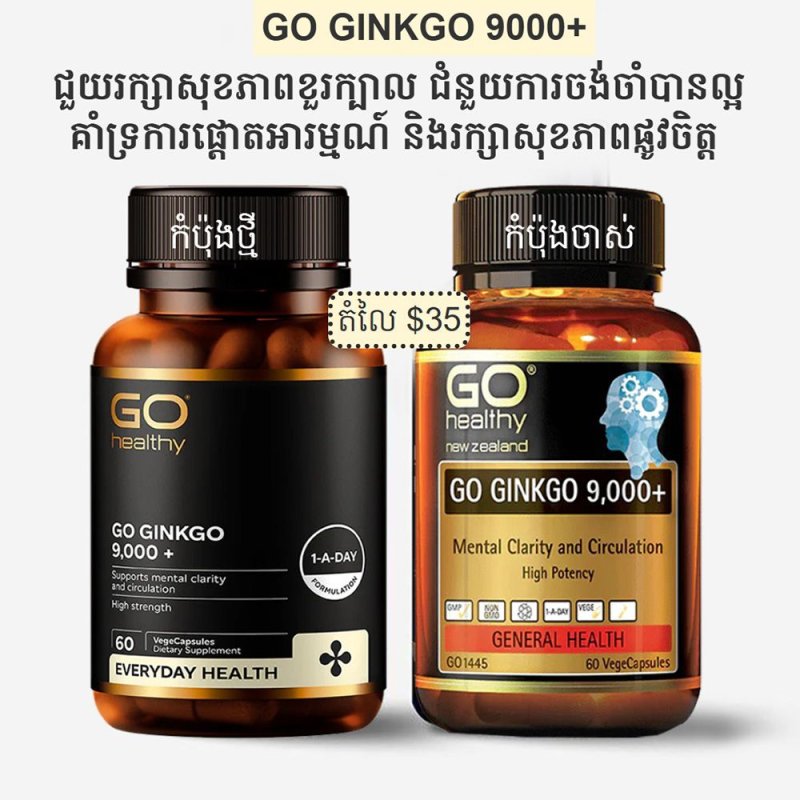 GO GINKGO 60គ្រាប់ សុខភាពខួរក្បាល ការចងចាំល្អ