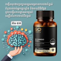 GO GINKGO 60គ្រាប់ សុខភាពខួរក្បាល ការចងចាំល្អ