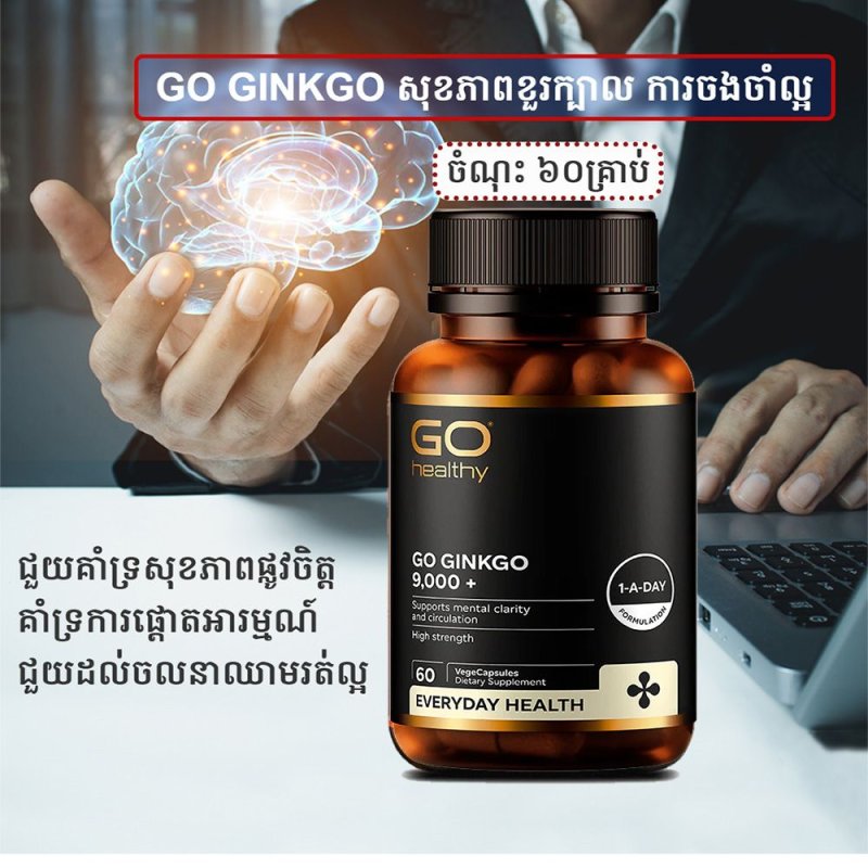 GO GINKGO 60គ្រាប់ សុខភាពខួរក្បាល ការចងចាំល្អ