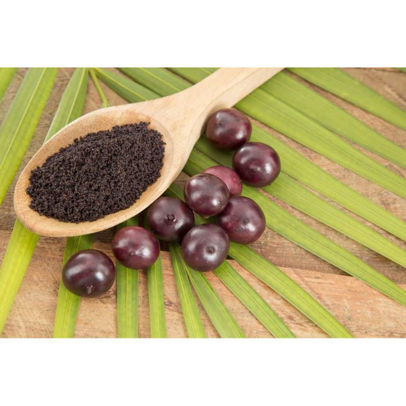 100% Pure Acai Berry 700mg with No Fillers or Bulking Agents