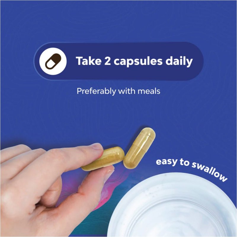 អាហារបំប៉ន prebiotic និង probiotic ជួយក្រពះ ពោះវៀនល្អប្រសើរ